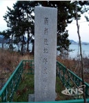 목포시 고하도, 활짝 핀 목화꽃 장관 이뤄
