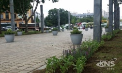 안산시 상록구, 성포예술광장 꽃화분 단장
