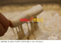 바른 식재로 건강한 먹거리 만든다, 비엔나핫도그