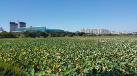 안산 화랑유원지에서 가을 정취 느끼며 힐링하세요