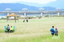 여주 당남리섬, 지역 명소로 부상