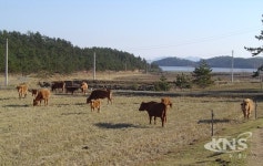 신안군, 전남도가 실시한 녹색축산 시책 업무 최우수상 수상