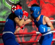 [ABCx파이트하우스 포토] 헐크복싱 양현모, 회심의 카운터 펀치