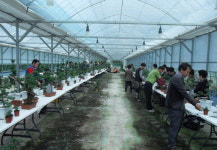 거창군, 국화재배기술보급 수강생 모집