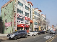 증평군, 안전사고 예방 가로수 가지치기 실시