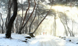 [포토뉴스] 경남 거창군, 그녀의 동호숲