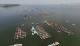 충남도, 올해수산분야 634억원 투입