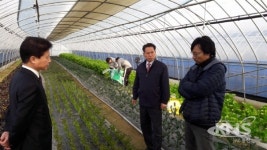 충남농협, 젊은협업농장 현장경영 나서
