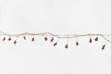 [수요 쉼터] 놀이 사진가 정현진의 1장 1단, 길