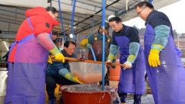 남해군, 대구 인공수정란 방류사업 추진 … 어업인 소득 증대 박차