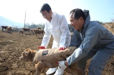 강진군, 한우 농가 소득 대폭상승