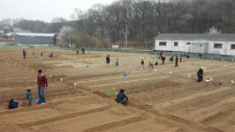서울시, 서울근교 함께서울 친환경 농장 선착순 분양