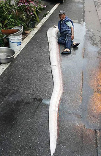 대만 지진, 