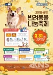 용인시,  반려동물 나눔 축제 열어