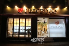 아이러브독, 강아지 분양 시 배변 및 사료 섭취 훈련 후 진행