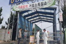 창녕군, 조류인플루엔자 발생없는 청정지역 사수 총력 대응