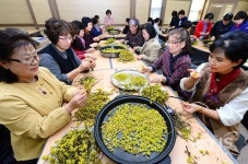 충북농업기술원, 한방꽃차 전문가 양성