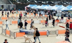용인시, 옛 경찰대서 신나는 반려동물 축제 열어