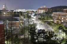 계명대 벚꽃 길 따라 떠나는 행소박물관 전시설명 투어