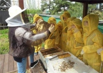 서울시, 보라매공원 청사 옥상에서 도시양봉 강좌 진행