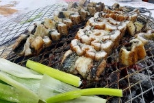김포 대명항 장어맛집 대명돛대, 민물장어와 갯벌장어로 건강까지 챙겨