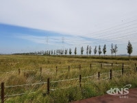 경기도,  규제개선 건의로 안산 꽃 축제.록페스티벌 재개 길터