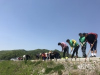 용인시 모현읍,  경안천 제방 2.3km 구간에 코스모스 씨앗 파종