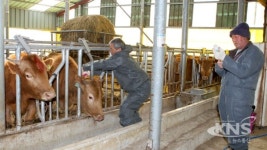 장수군 청정지역 유지에 총력 !
