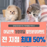 인천•부천 강아지 고양이분양 프렌차이즈 아담스펫, 가정의달 50% 할인분양 이벤트