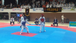 경남 태권도 한마당대회 개막 성황