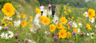 [포토뉴스] 경남 거창군, 5월 들꽃 풍경