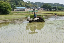 [포토뉴스] 모내기가 한창인 담양 들녘