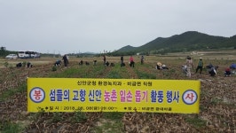 신안군청, 농촌일손돕기 봉사활동에 발벗고 나서