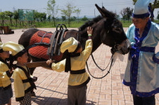 나주 복암리고분전시관, 두힐동물농장 체험 진행
