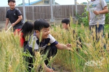 충주 산척초, 친환경 우리 밀 전통체험