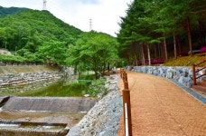 횡성 선바위자연캠핑장…캠핑 메카로 부상 중