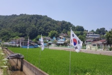 제70주년 제헌절 기념 창녕군 영산면 나라사랑 태극기달기 운동