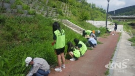 용인시 신봉동, 꽃사랑회서 정평천 산책로에 꽃길 조성