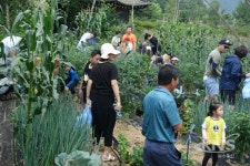 홍천군 , 1사1촌 교류 농촌체험 행사 가져