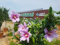 수원시, 무궁화양묘장  오는 30일부터 시민에게 개방