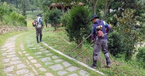 장흥군 편백숲 우드랜드 손님 맞이 준비 한창