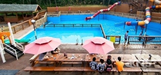 대천펜션 해솔통나무펜션, 가을맞이 할인이벤트 시행