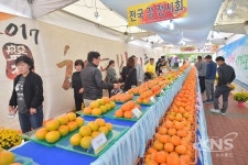 청도군, 2018 청도반시축제 및 청도세계코미디아트페스티벌…12일부터 3일간의 大축제