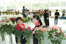 전라북도농업기술원, 시장 선호도 높은 국산 장미 한자리에