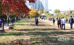 원주시 단구동 화합 걷기대회 및 노래자랑...가을햇살 좋아요