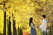 유네스코 세계유산 영주 부석사...가을 단풍 절정