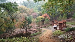 부천 원미산에 너나들이 힐링숲 조성