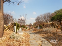 오산시, 오산천 연꽃단지에 무궁화동산 조성