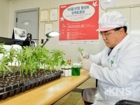 의료용 대마 합법화, 내츄럴햄프바이오사 의료용 대마 활용 필요