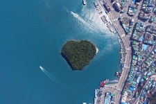 완도의 보물, 주도 상록수림 보수 치료 중!